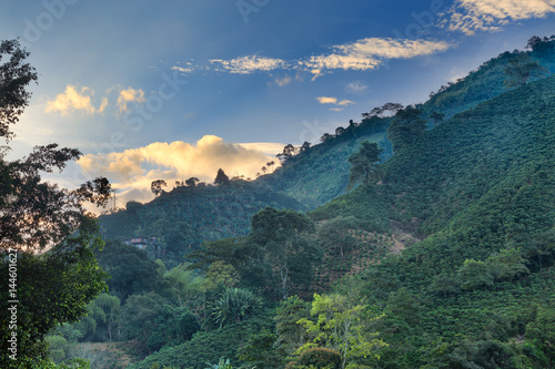 Clouds are illuminated during the sunrise at a coffee plantation near Manizales, Colombia. photo
