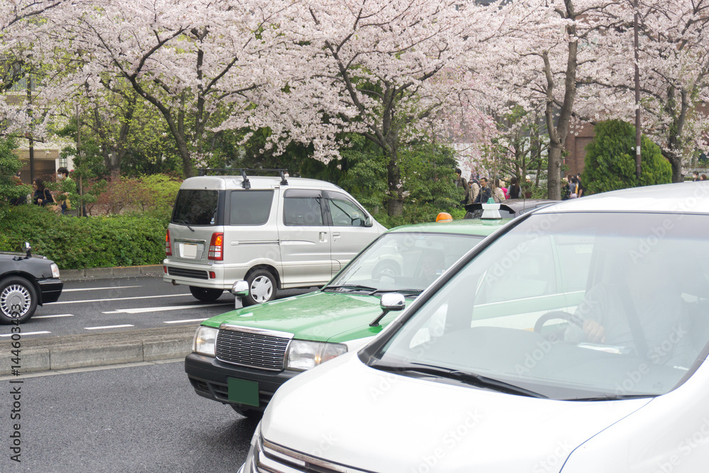 春の東京 桜道