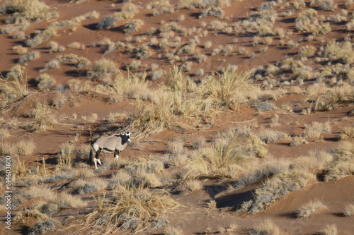 Oryx in Sossusvlei, Namibia.