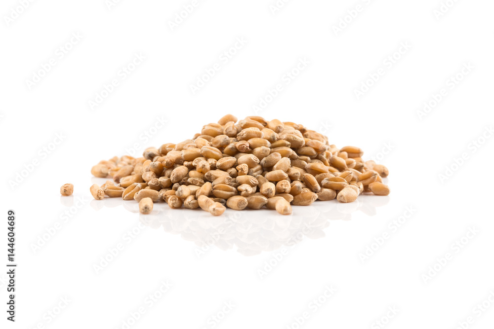 Wheat grain on white Wheat grain on white