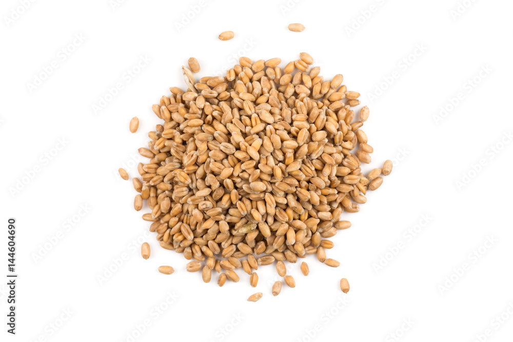 Wheat grain on white Wheat grain on white