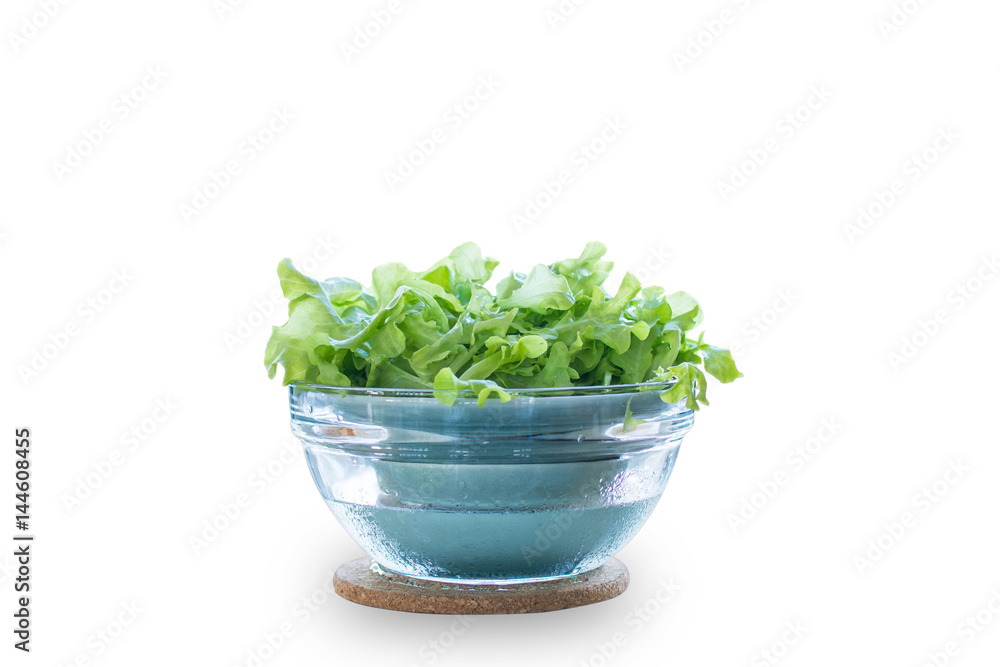Vegetable, A Bowl of Delicious Fresh Green Lettuce Leaves Isolated on White Background Vegetable, A Bowl of Delicious Fresh Green Lettuce Leaves Isolated on White Background