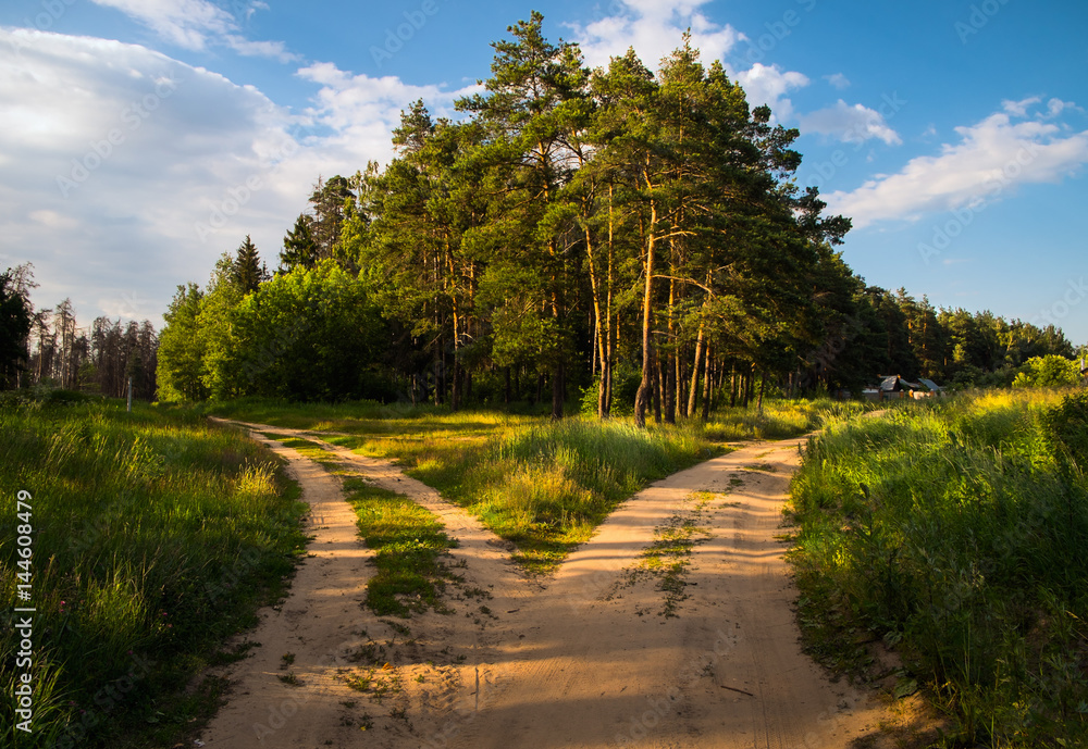 Fototapeta premium At the crossroads. Fork. Two roads.