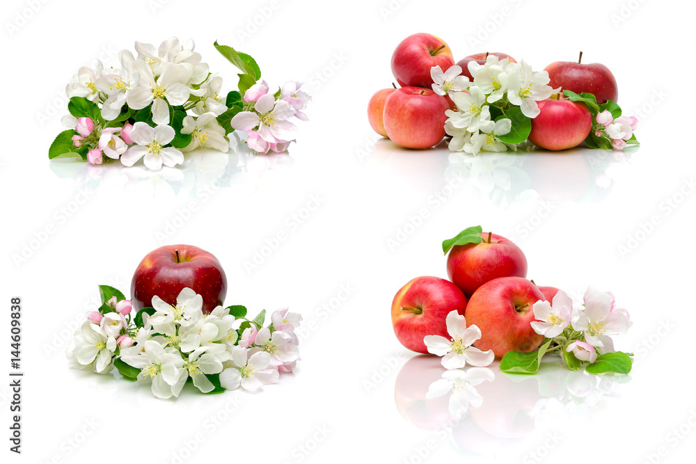 Ripe apples and flowers of apple tree on a white background.