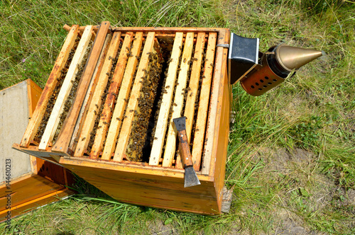 Langstroth beehive inspection with chisel and smoker photo