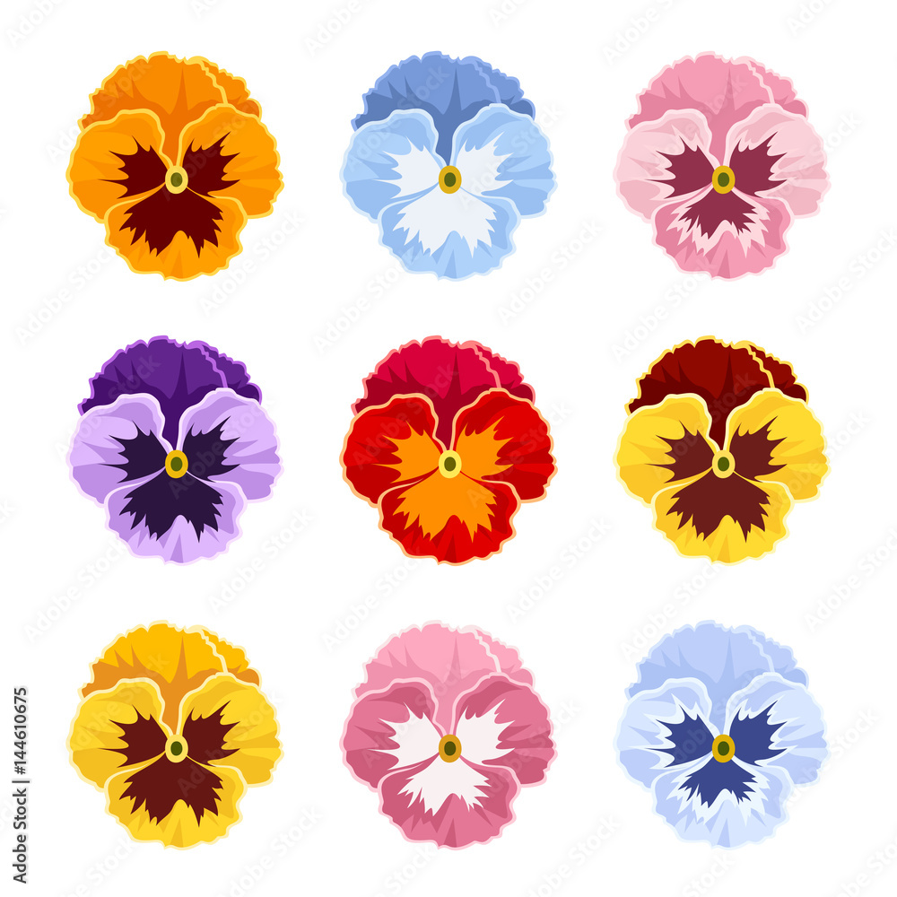 Set of colorful pansy flowers isolate on a white background. Set of colorful pansy flowers isolate on a white background.