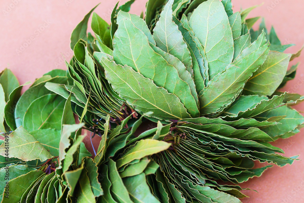 Dry green laurel leaves ready for cooking. branch of laurel bay leaves on a paper