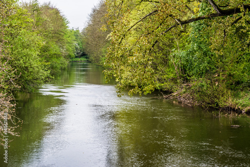 Wallpaper Mural 2640 Neuss Selikum - Flusslauf Torontodigital.ca