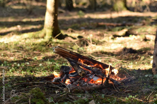 Bonfire in the spruce forest © Вадим Ножин