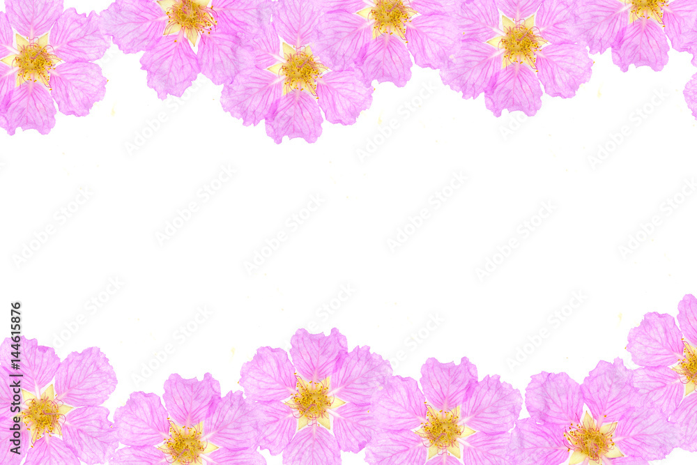 Pink flower border frame with empty space for text