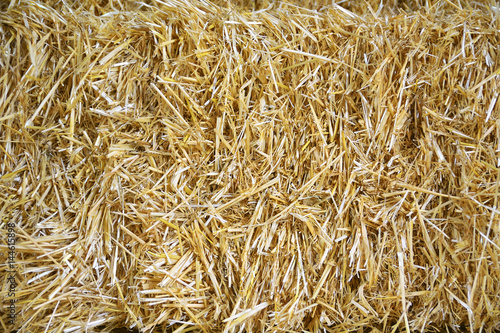Some straw bales forming a pile in an old barn of a farm. Rural background and Empty copy space for Editor s content.