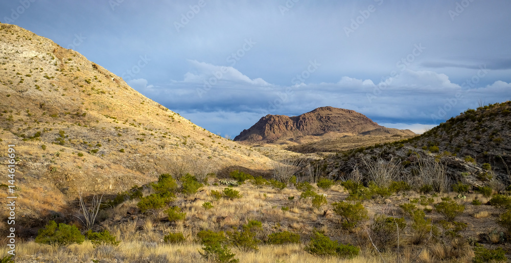 Sunset Golden Hour in Big Bend National park