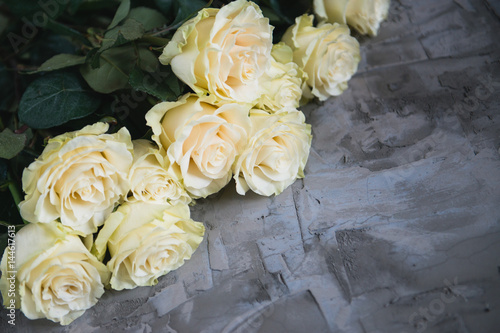 botder of white roses on a concrete background photo