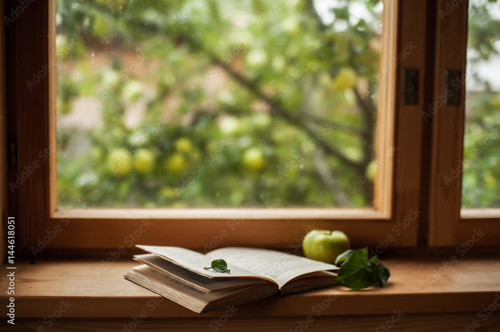 Fototapeta premium book and window