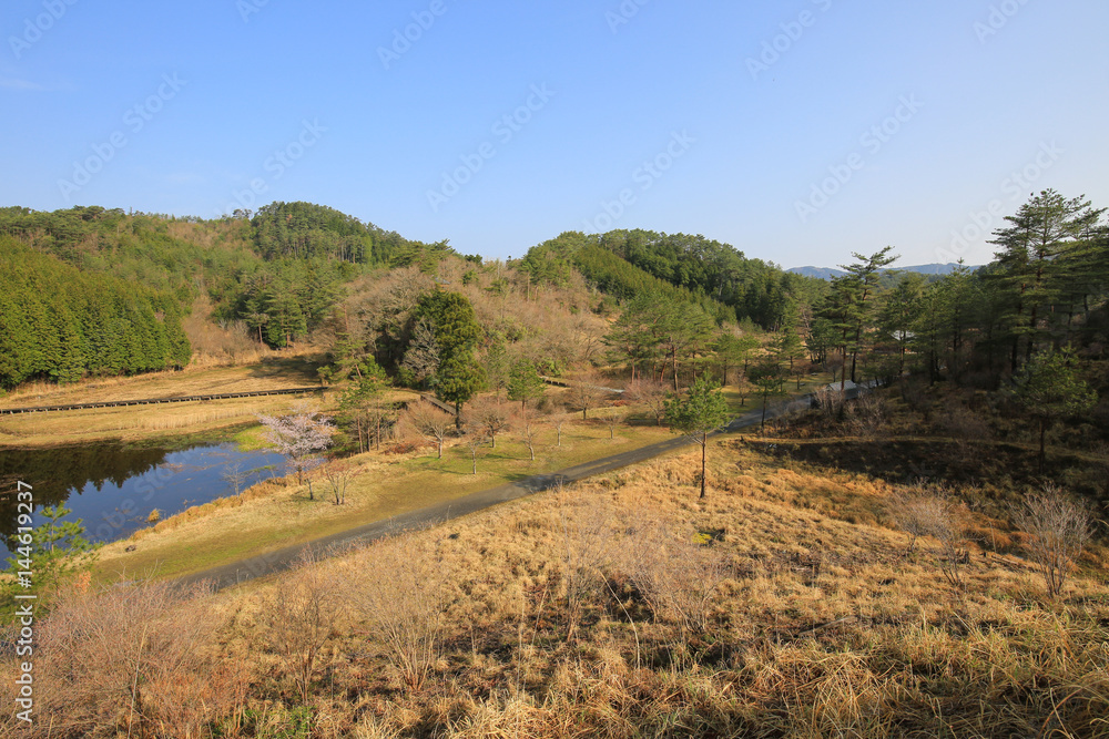Obraz premium 徳島県三好市 黒沢湿原