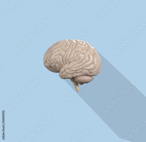 Brain infographic. Anatomical icon of brain on blue background.3d Illustration.
