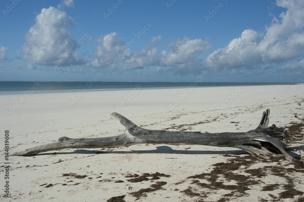 Fototapeta premium Kenya beaches