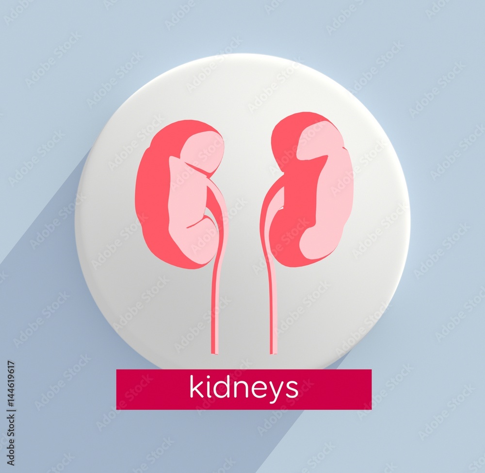 Kidneys infographic with title "Kidneys". Anatomical icon of kidneys