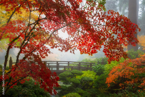 Fall Colors by the Moon Bridge in Portland Japanese Garden