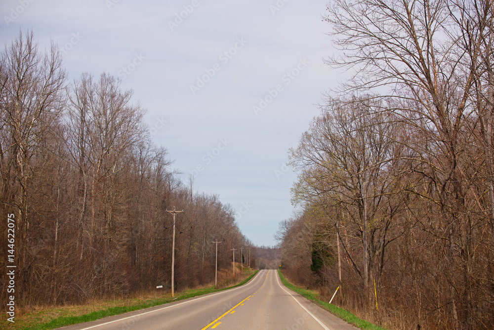 A narrow two lane highway lined with forest of bare trees beginning to bud and some green grass in a spring countryside landscape