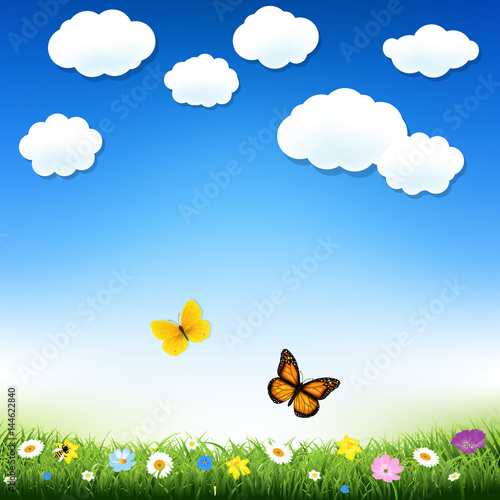 Butterfly And Grass © iadams