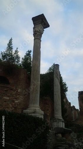 Foro Romano, colonne photo