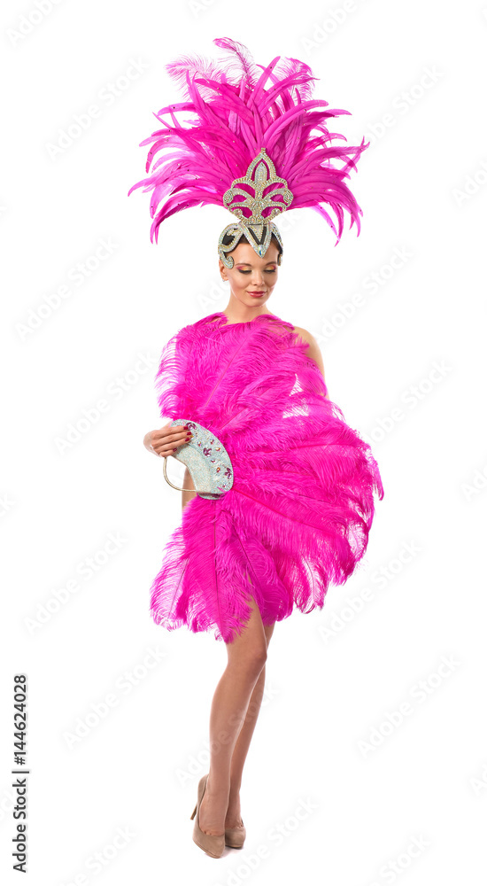 Beautiful Girl in carnival costume, isolated on white background. Beautiful Girl in carnival costume, isolated on white background.