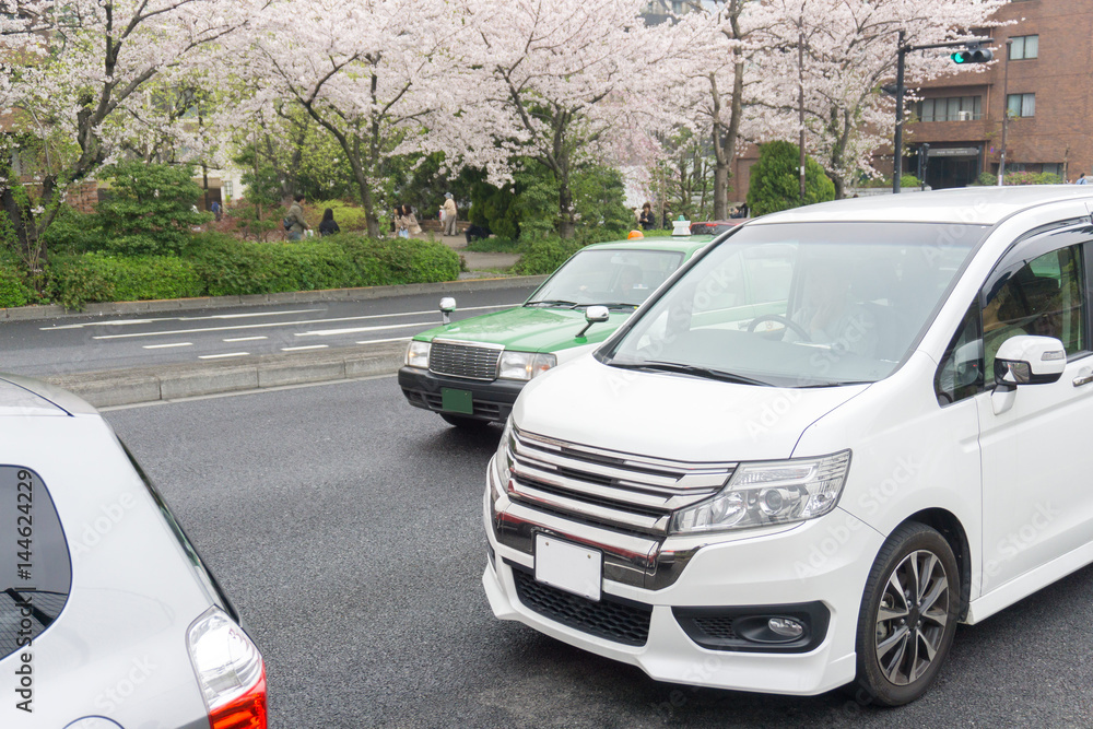 春の東京 桜道