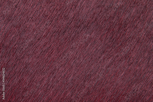 Animal pony skin close-up