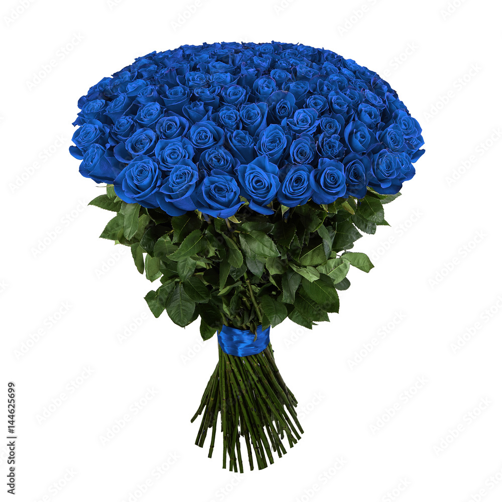 Fototapeta premium Piękna niebieska róża. Na białym tle duży bukiet 101 róży na białym tle