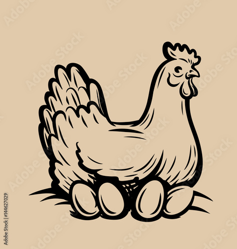 vector emblem of chicken photo