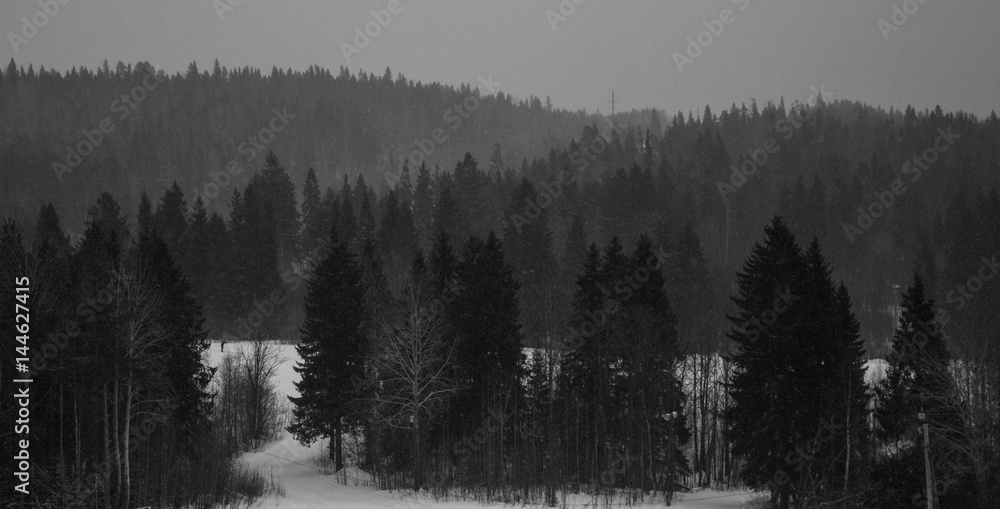 Black and white winter landscape with high mountains