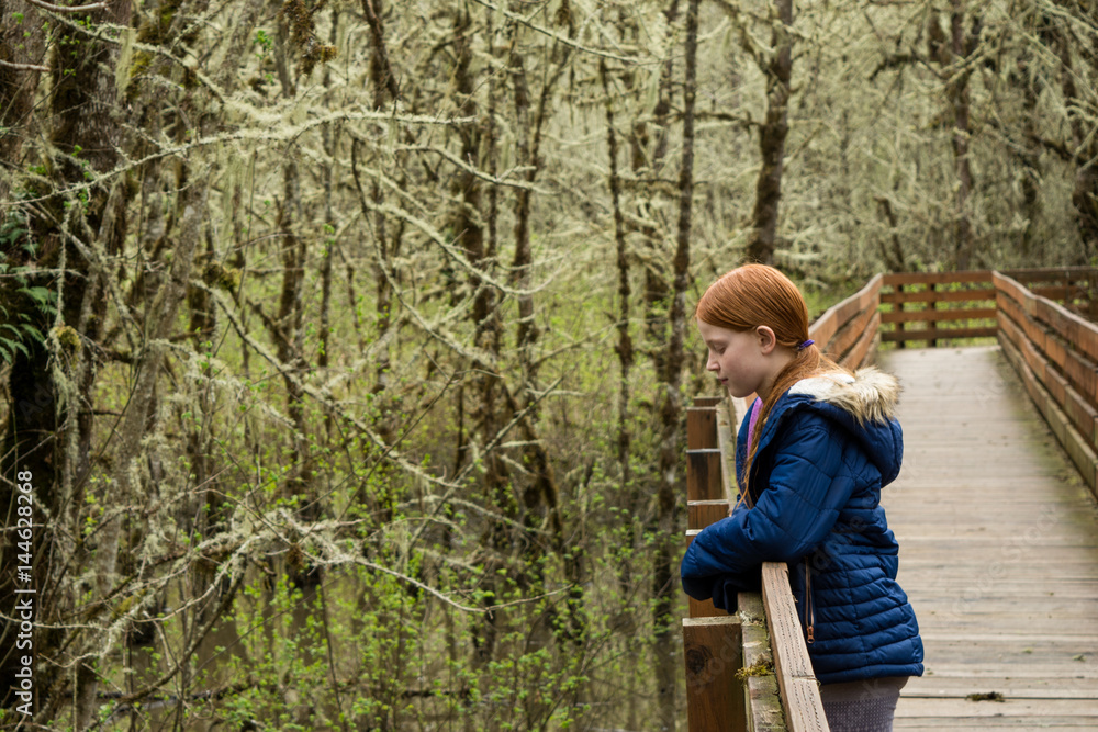 Fototapeta premium Muddy Creek Boardwalk III