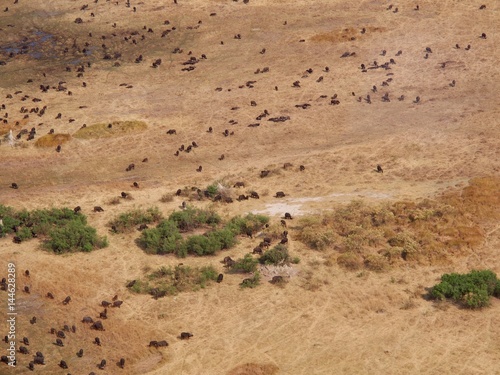 Botswana