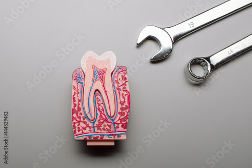 Tooth structure, warranty repair conceptual background photo