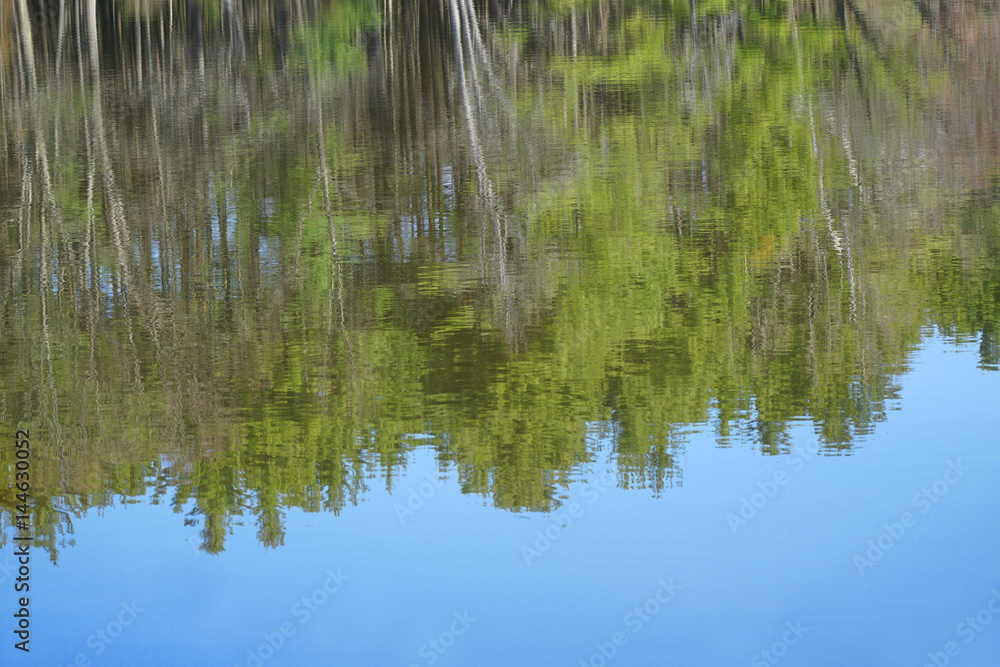 spring forest reflecting in tranquil lake water surface spring forest reflecting in tranquil lake water surface