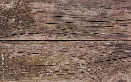  wood texture and background. Aged wood planks texture pattern. Wooden surface. 