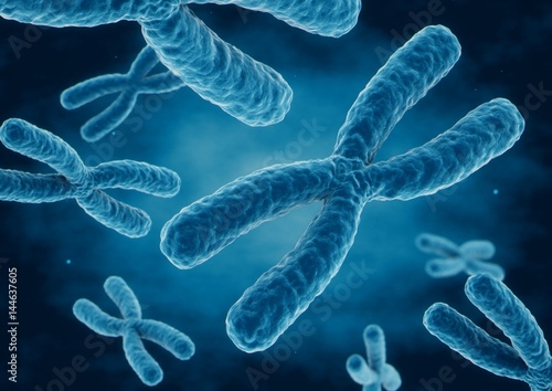 Papier peint 3D rendering X chromosomes