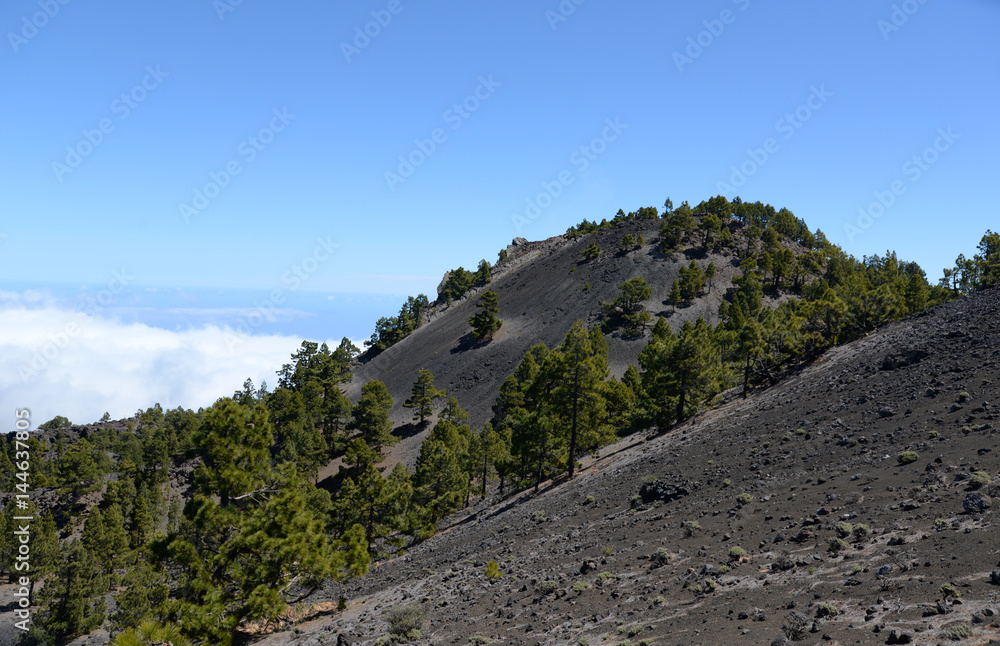 Fototapeta premium An der Vulkanroute, La Palma