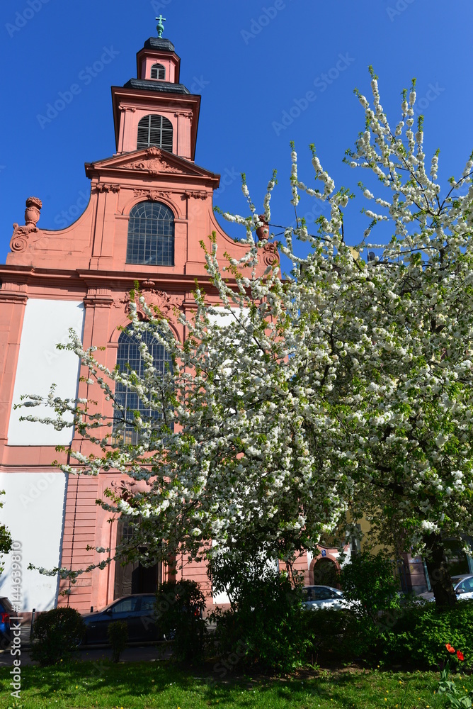 Deutschordenskirche in Frankfurt am Main StockFoto Adobe Stock