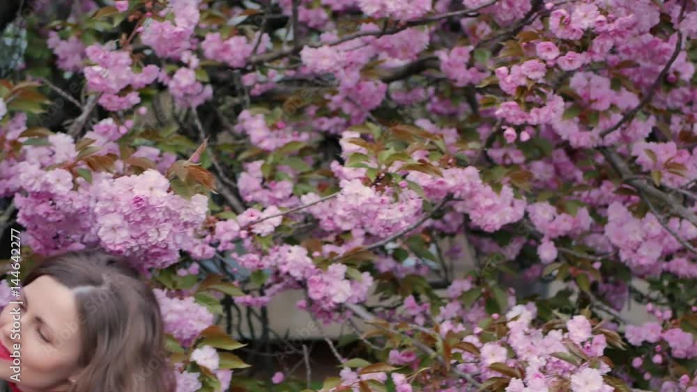 beautiful girl among cherry blossom sakura tree spring pink flowers beautiful girl among cherry blossom sakura tree spring pink flowers