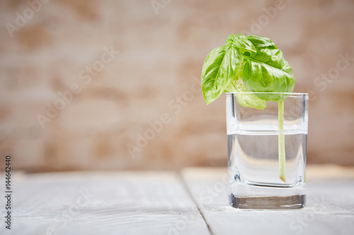 Basil on white table in front of brick wall