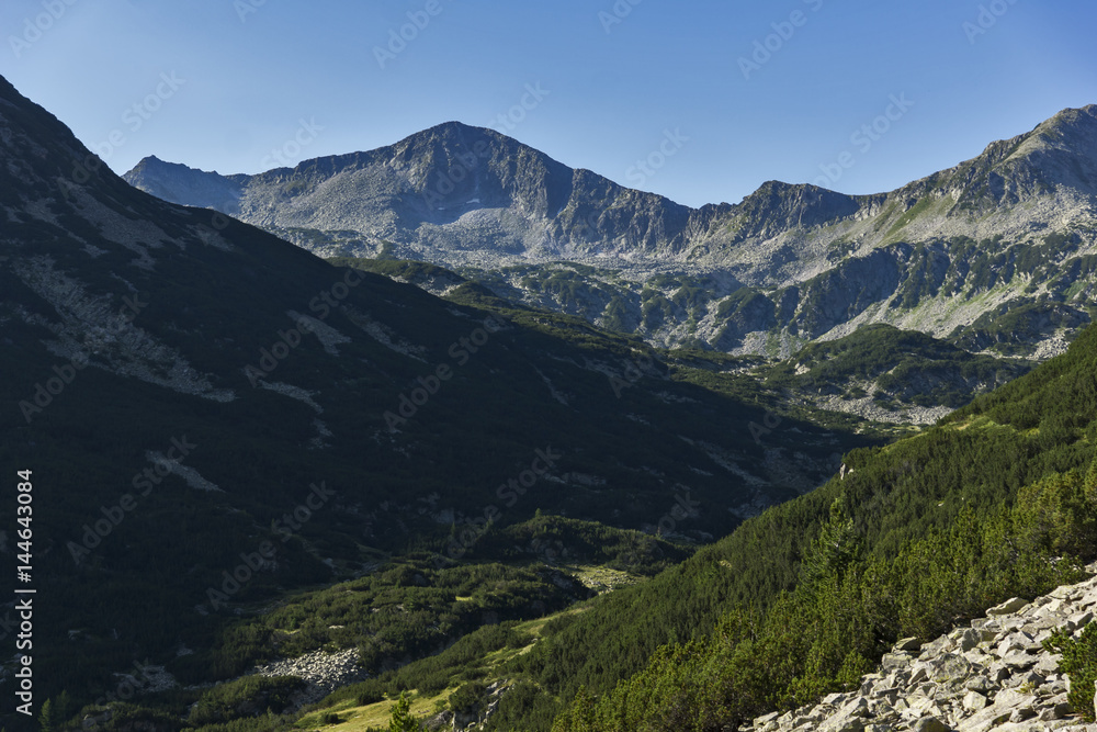 Fototapeta premium Amazing Panorama of Banderishki Chukar peak, Pirin Mountain, Bulgaria
