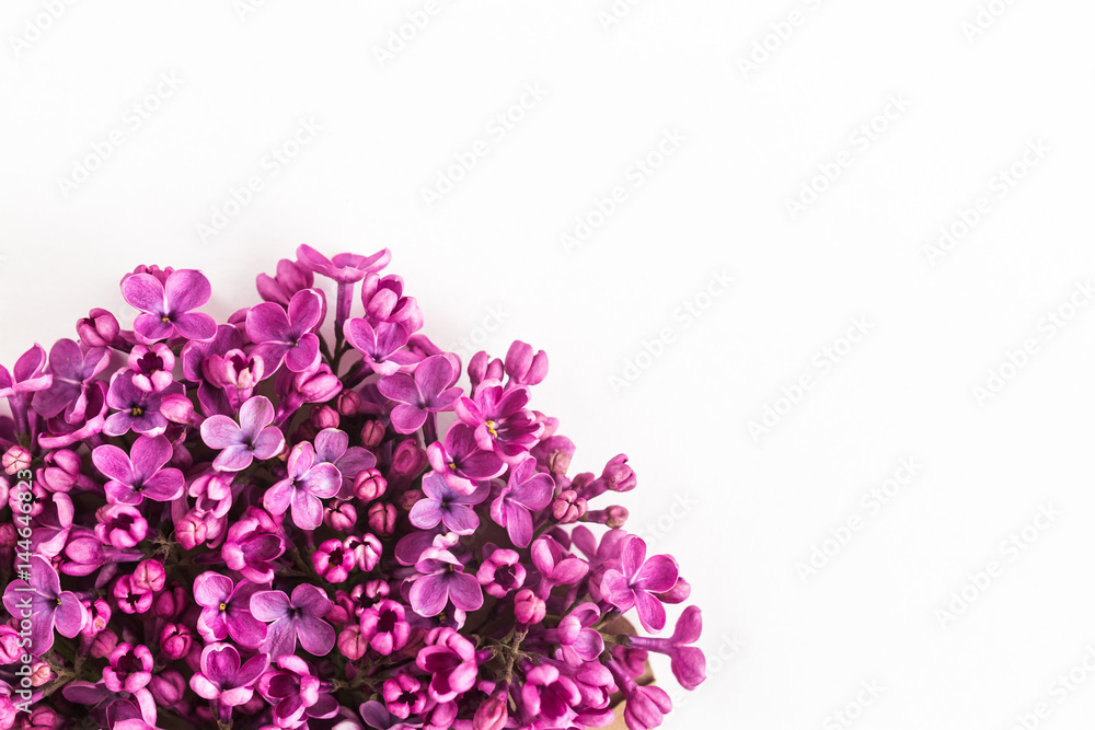 White background half filled with close up beautiful pirple lilac flowers. top view. flat lay. Concept of love, proposal, congratulation and spring. White background half filled with close up beautiful pirple lilac flowers. top view. flat lay. Concept of love, proposal, congratulation and spring.
