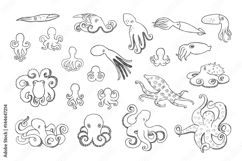 Hand drawn octopus set.