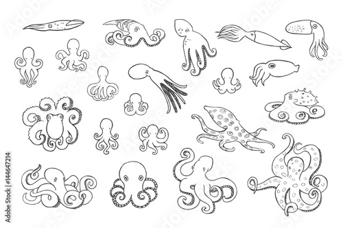 Hand drawn octopus set.