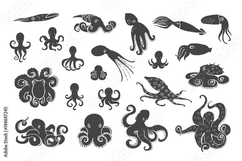 Hand drawn octopus set. Black silhouettes on white background