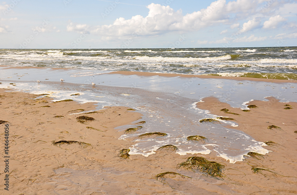 Plaża Bałtyk