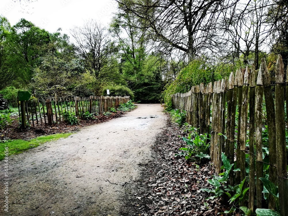 Beautiful garden design with wooden on the way Beautiful garden design with wooden on the way