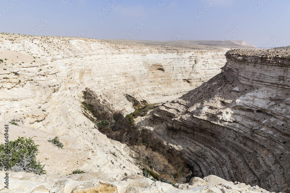 Fototapeta premium En Advat Nationalpark or Ein Advat, Negev, Israel
